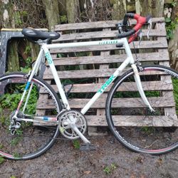 1989 Trek 1200  Large Aluminum Frame  23.5"