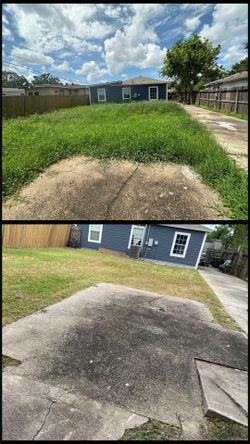 Home & Garden