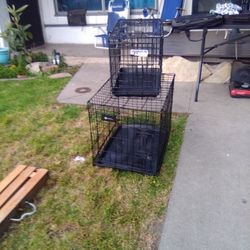 Dog Cages 