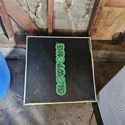 Beer Ping Table