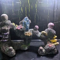Aquarium Decor 