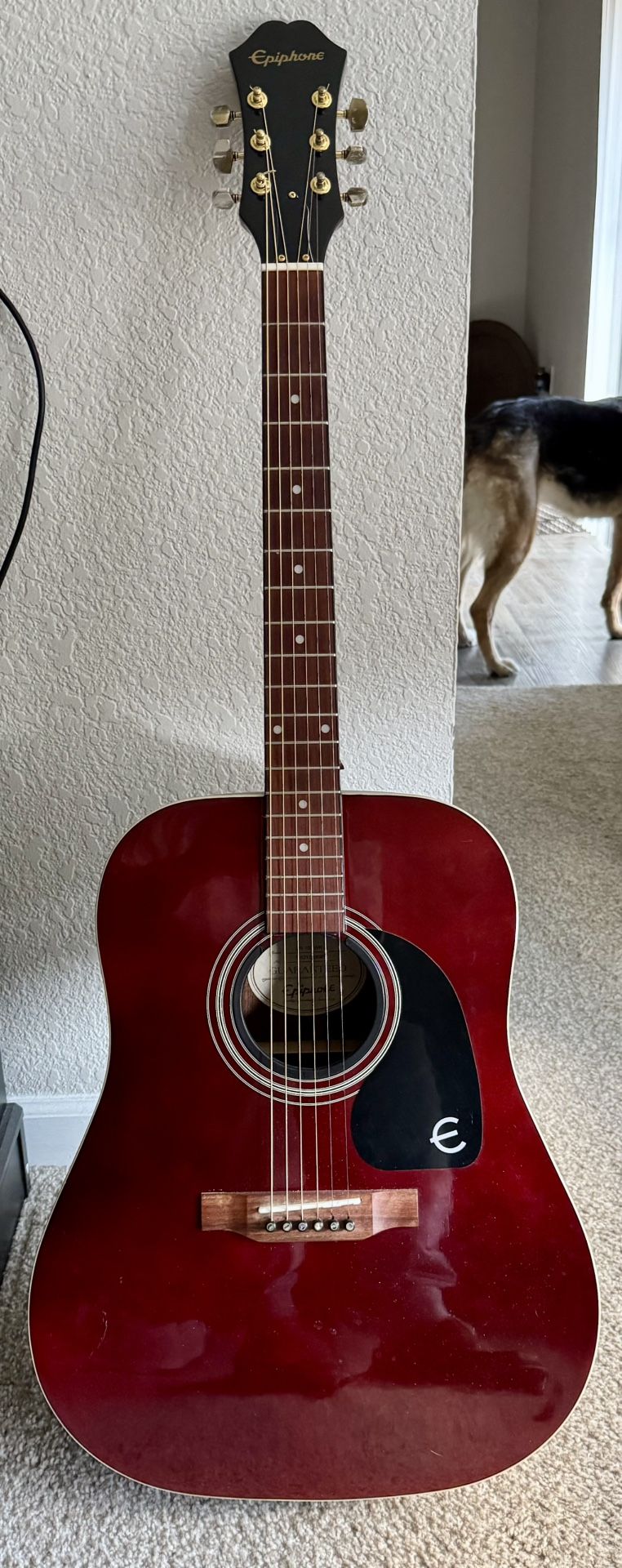 Epiphone Exclusive Limited Edition DR-100 Acoustic Guitar
