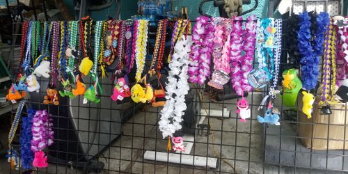 Leis para los graduados