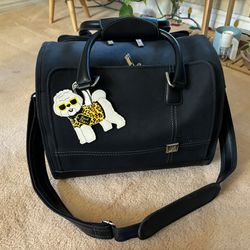 Black Bag/purse 