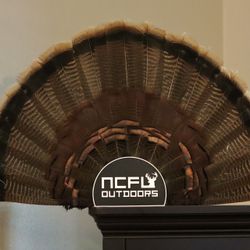 Custom Turkey Fan Holders