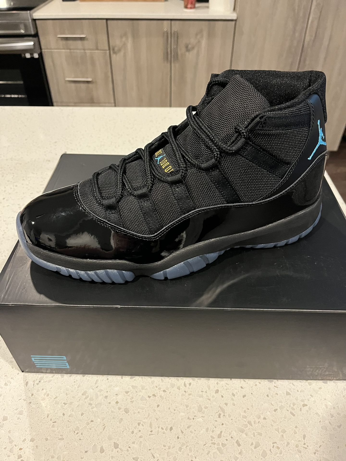 Jordan Gamma 11s (2025)
