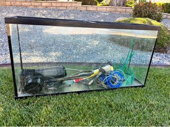 60 gallon tank with a bunch of accessories