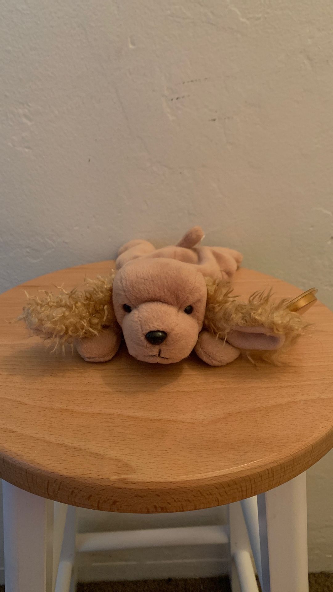 Ty beanie babies Rare (Spunky) beanie baby bear. Never used keep in a collection of other ty beanie baby’s. Collectible rare kids toys cheap valuable