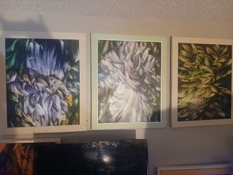 3 large floral canvas paintings