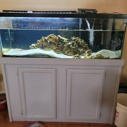 55 GALLON SALT WATER TANK