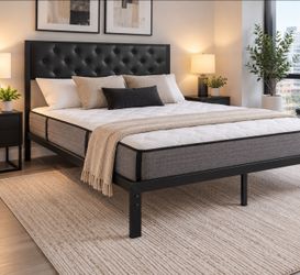 Free delivery! Brand new queen size black metal bedframe only