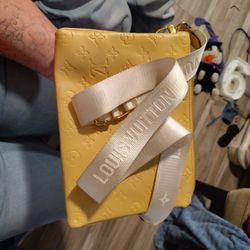 Louis Vuitton Purse