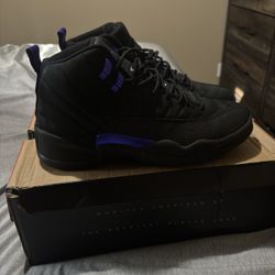 Air Jordan 12 (Black and Purple) - Size 9.5