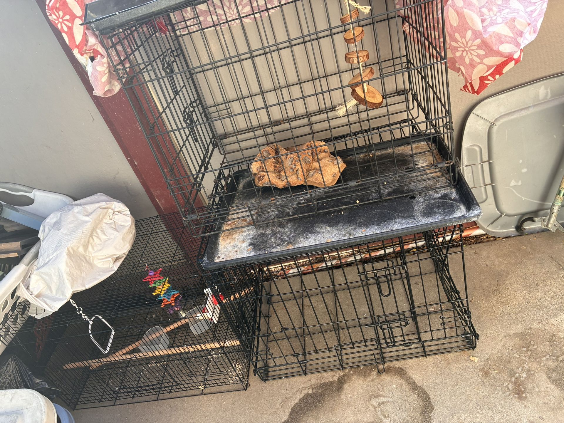Dog Cage Used