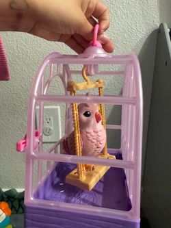 Bird and cage