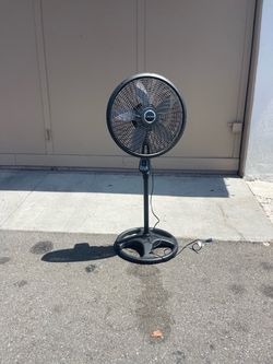 Fan