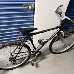 10 Speed Mountain Bike,