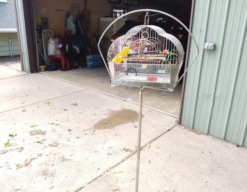 Bird Cage