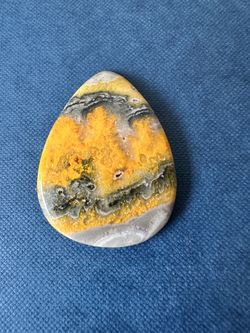 Bumble Bee Jasper