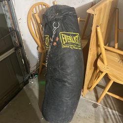 Everlast Punching Bag With Chain