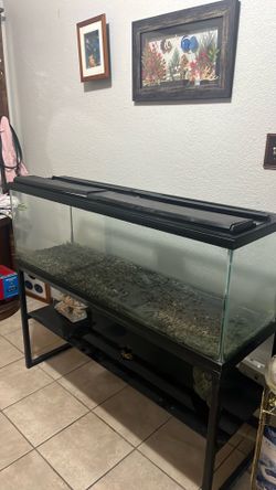 4 foot aquarium