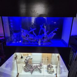 90 GALLON AQUARIUM (COMPLETE SETUP)