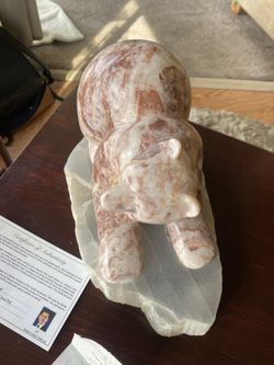 Certified Marble Bear 