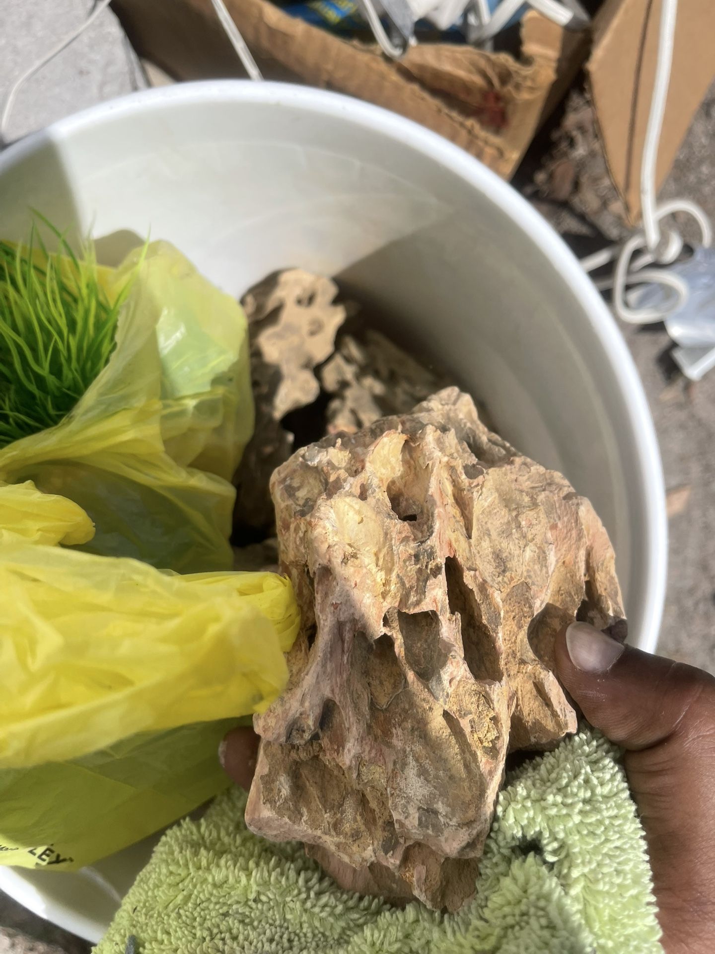 A whole bucket of aquarium things