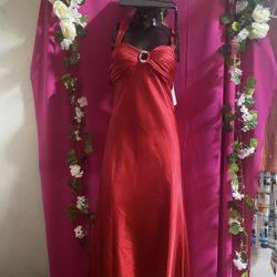 Prom/ Event Dress (Plus Size)