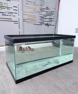 40 gallon tank