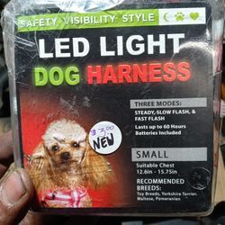Lights For Dogs