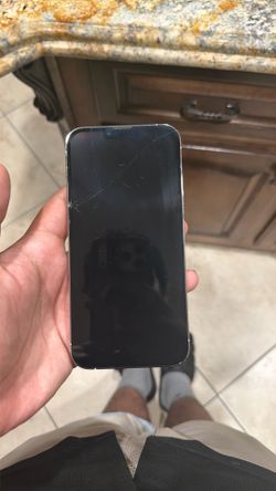 iPhone 13 Pro Max