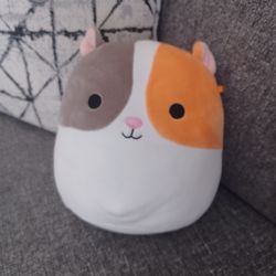 Squishmallow- EVERETT THE HAMSTER