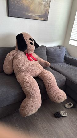 Teddy Dog (need To Sell quickly