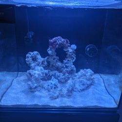 Red Sea E170 