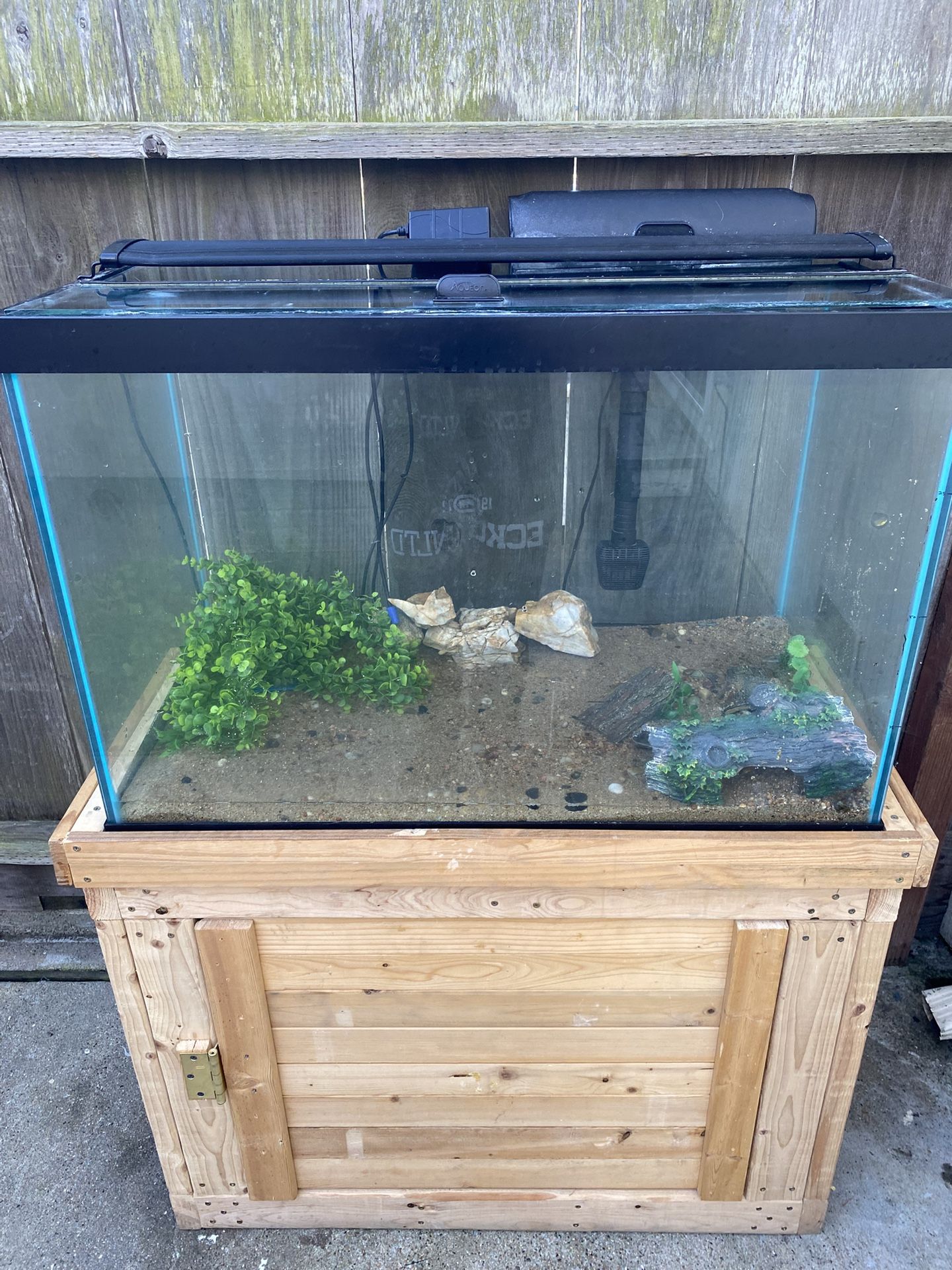   60 gallon tank & More