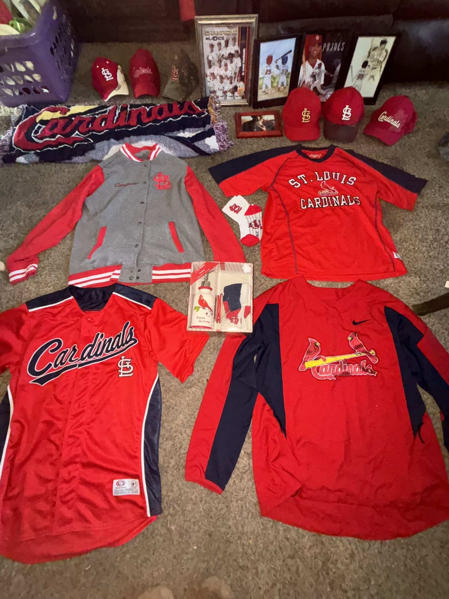 Cardinals lot