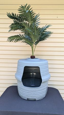 indoor house plants online Monstera Deliciosa  Tula House