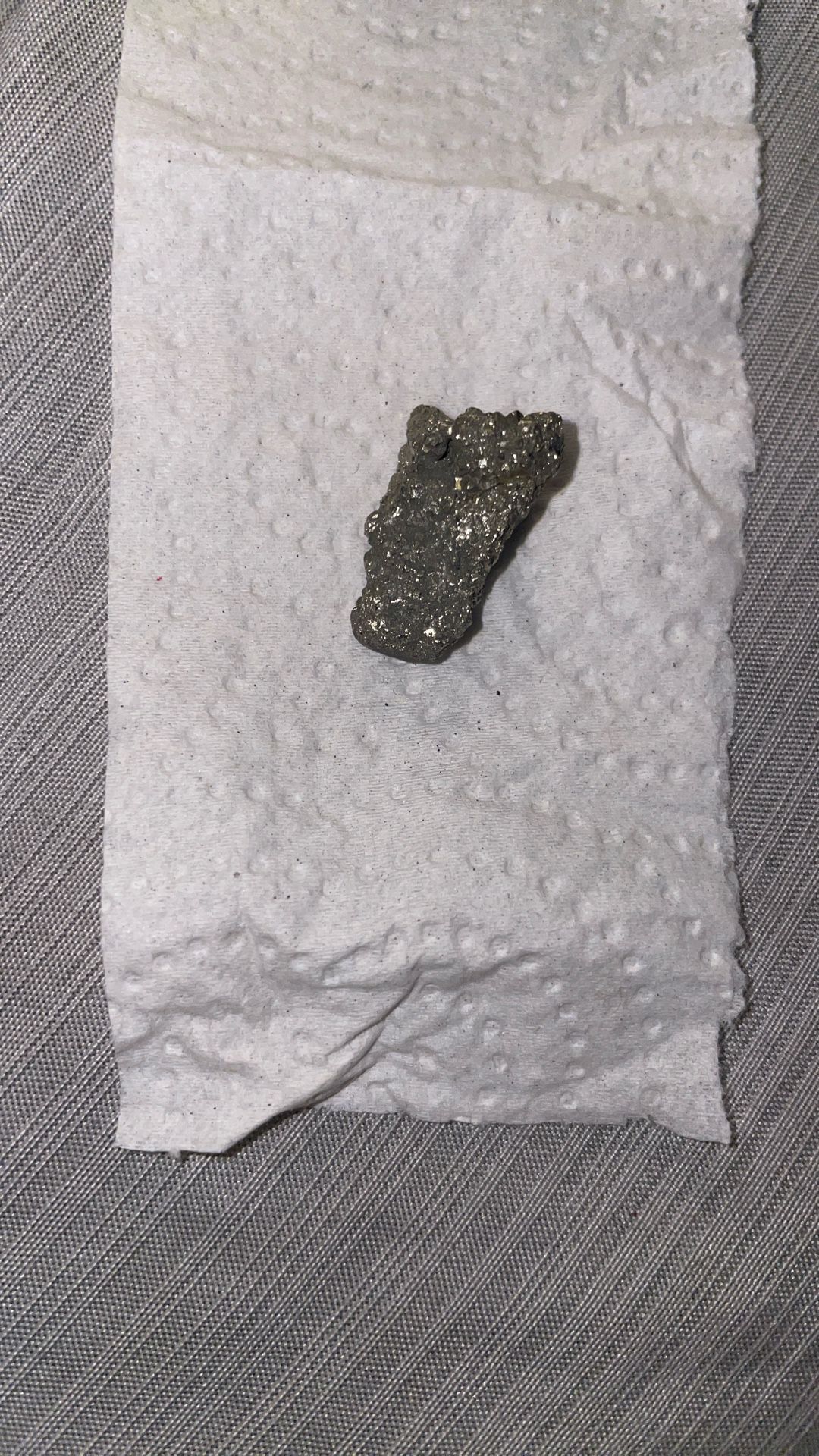 Fools Gold I Don’t Want It It’s 29 Per Carot And It 50 But I Will Do 20$
