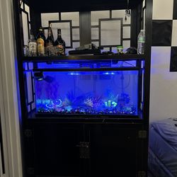 Fish Tank (pecera)