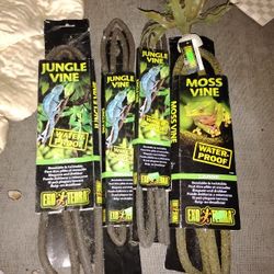 Jungle Vine Exo Terra