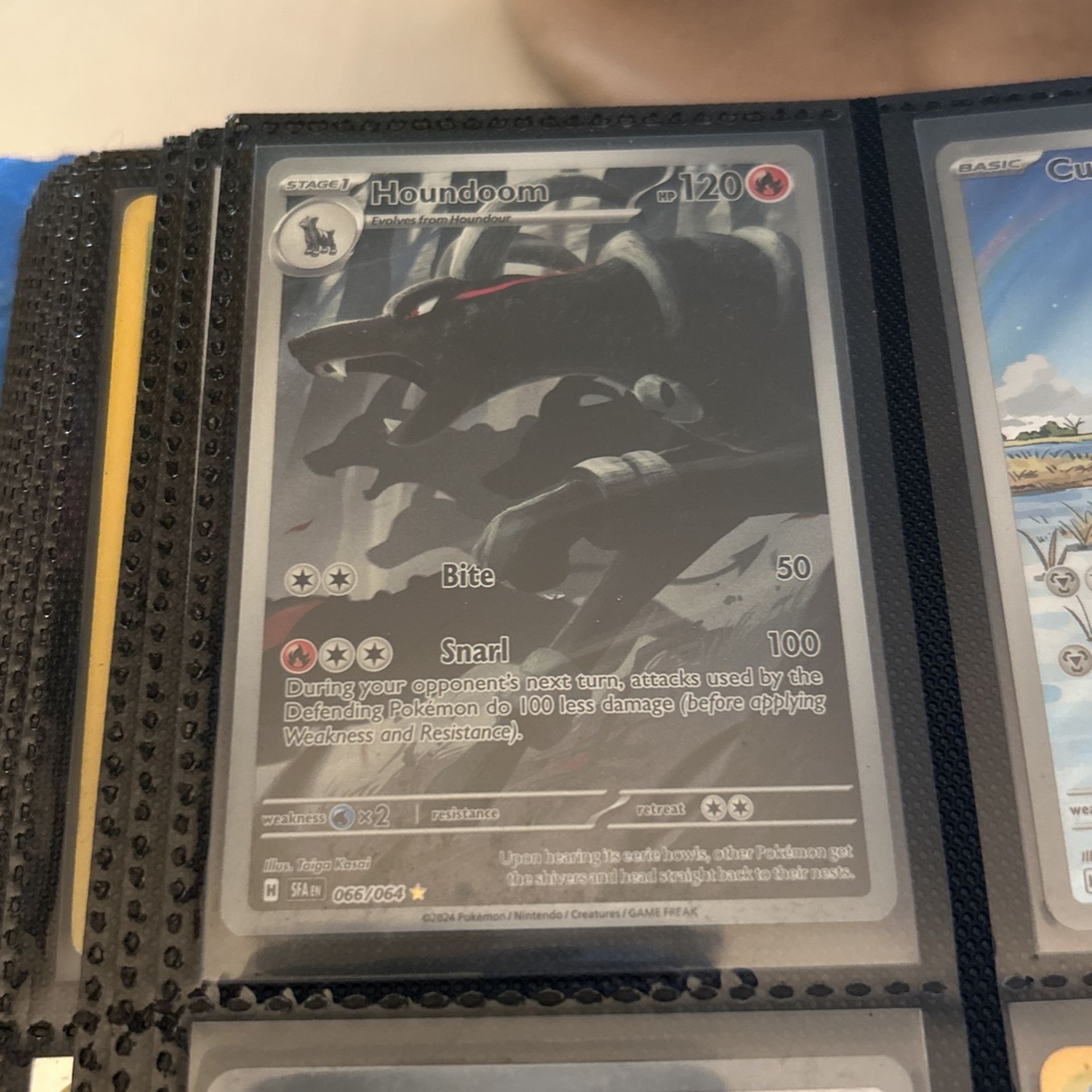 Houndoom Ir Mint