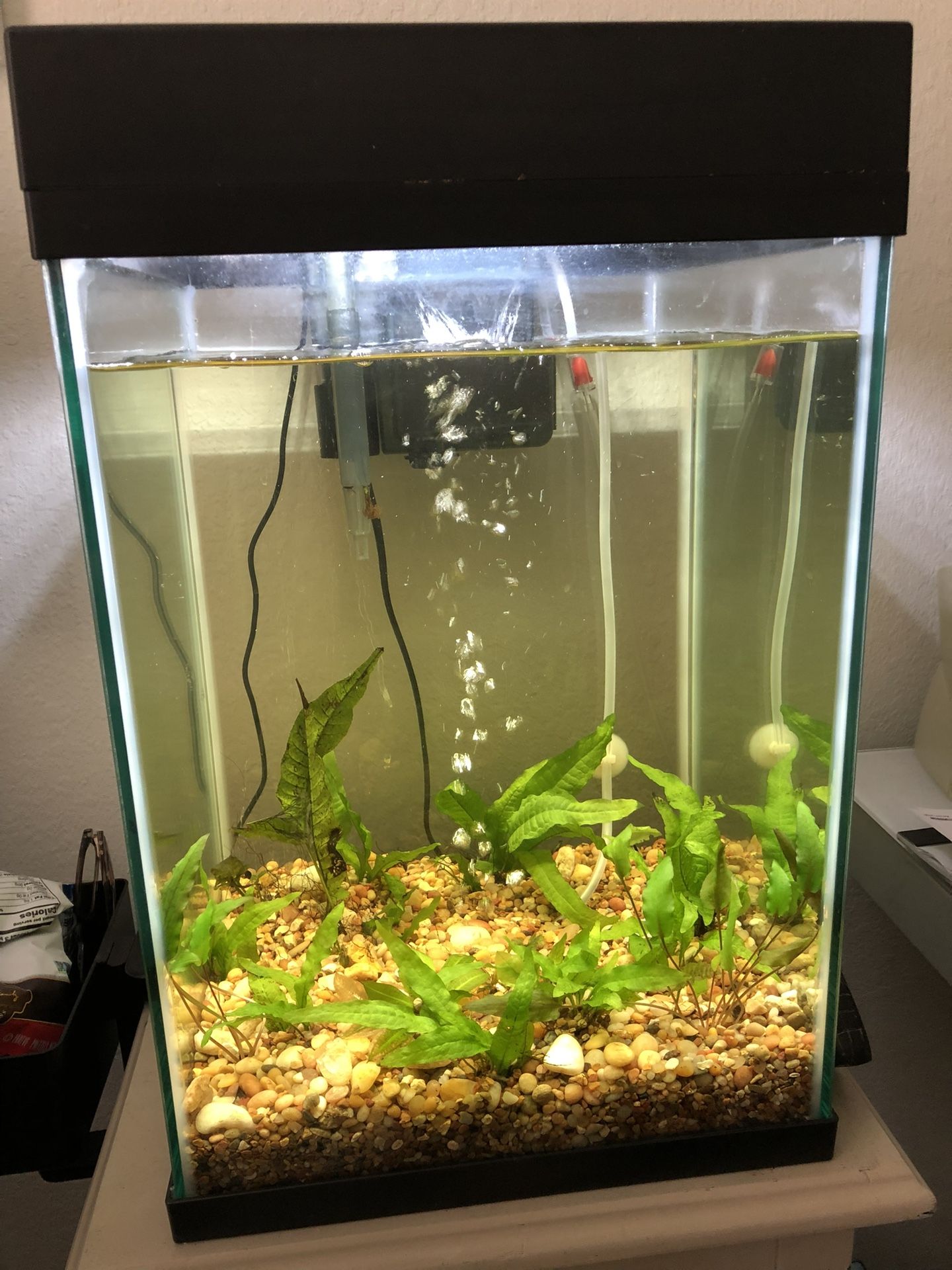 10 gal LED FISH TANK