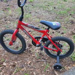 Bike Rock It 16inch