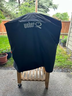 Electric Webber Grill/BBQ