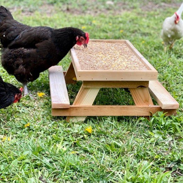 Pre order Yours today chicken feed tables