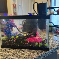 fish tank