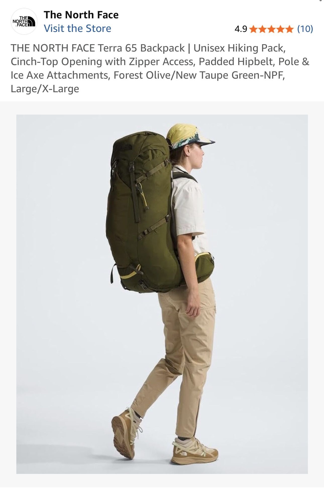 BackPack The North Face 