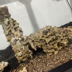 perfect rocks for your aquarium