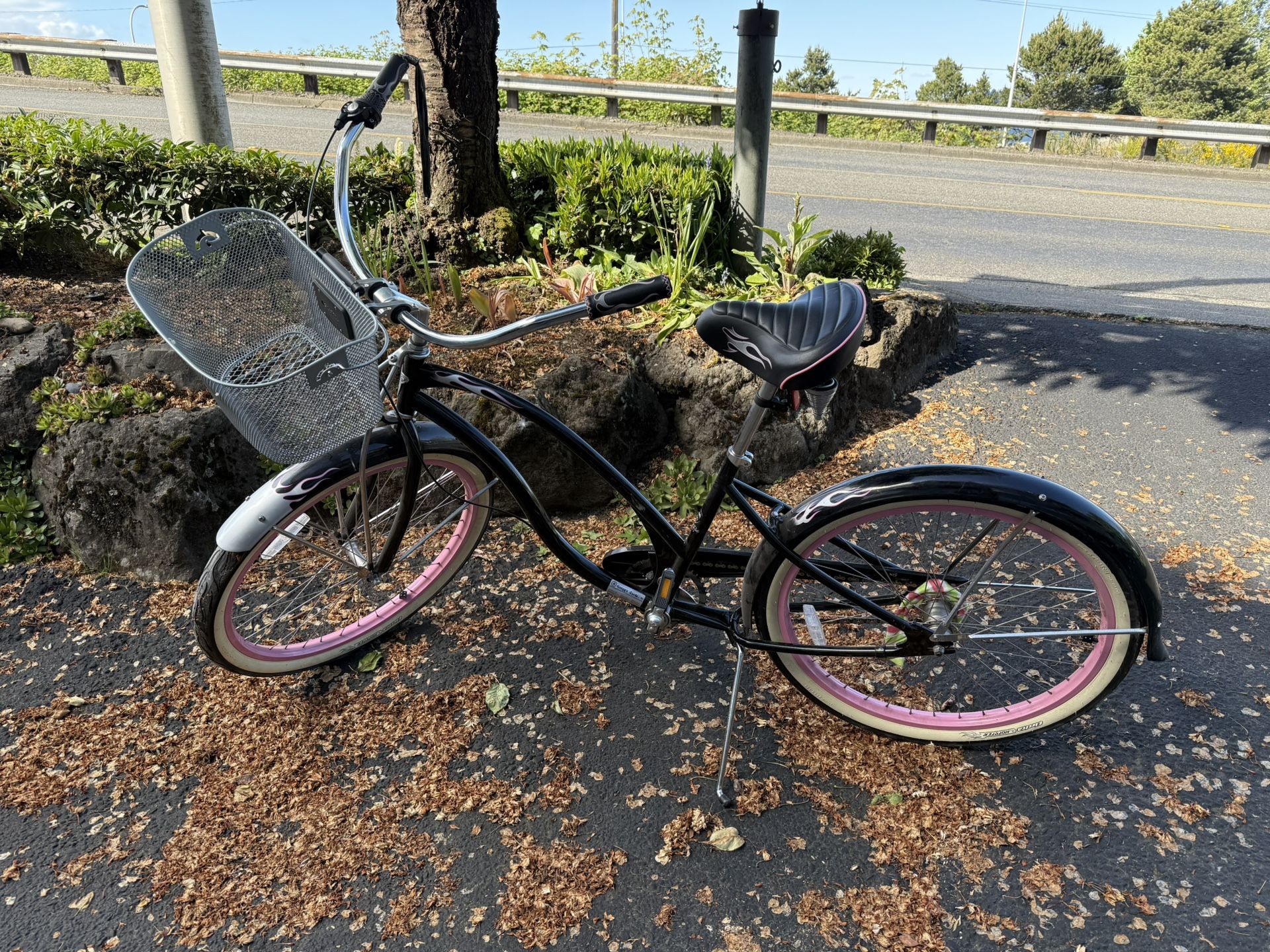 Beach Cruisers & Bonus Trek Road Bike